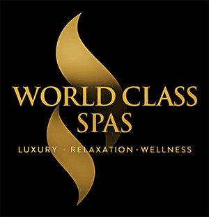 World Class Spas 300